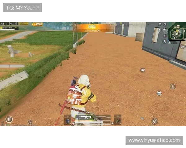 专访陈秀英揭秘和平精英成功背后的策略与创新思维