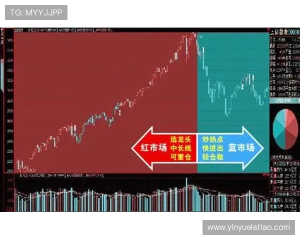 北京极限运动队的进攻策略与热点趋势深度解析