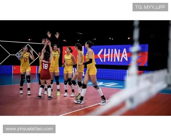 权威发布：全球排球运动员速度与实力综合排名揭晓