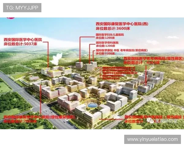 西安排球队技术分析与战术创新的深度探讨